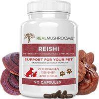 Reishi Mushroom Capsules